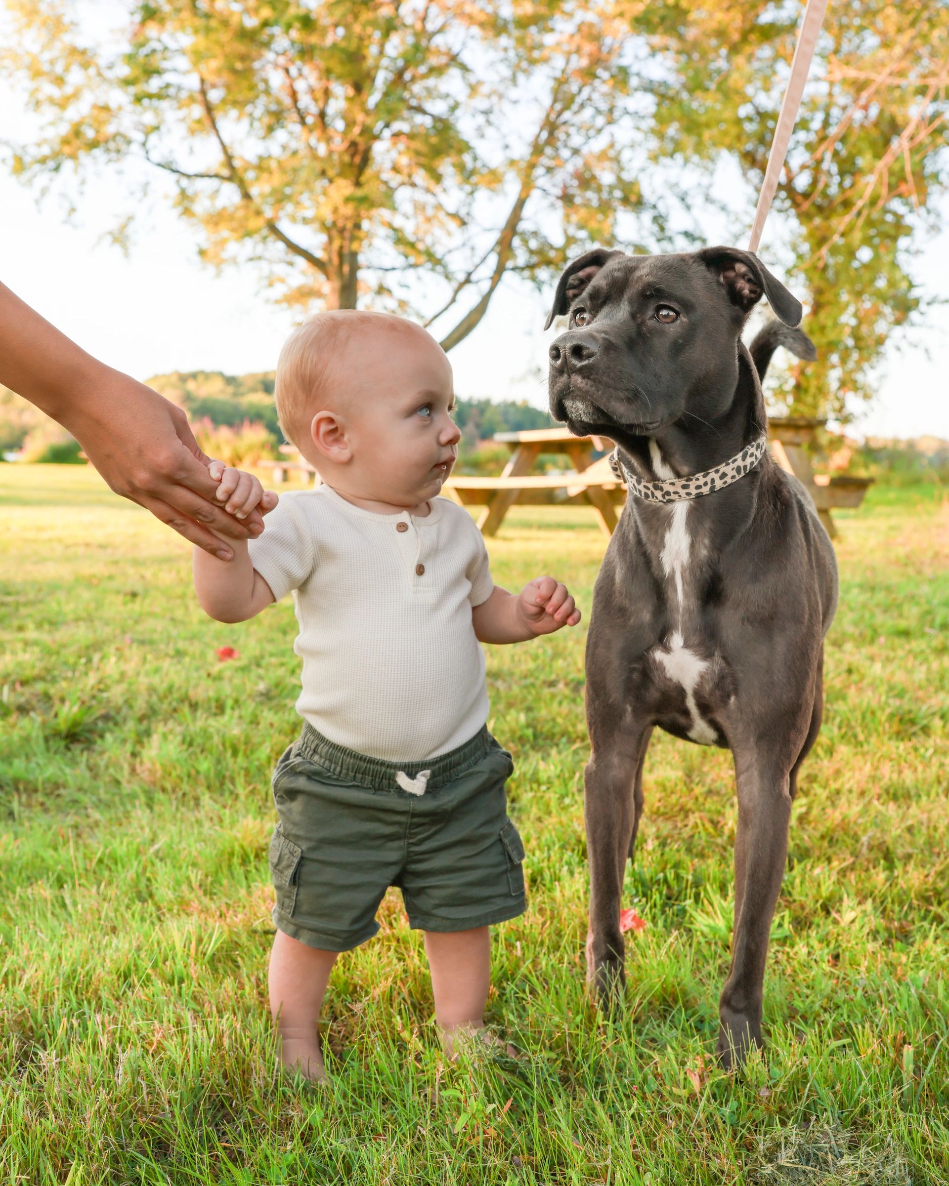 Pet and owner portrait showing their bond